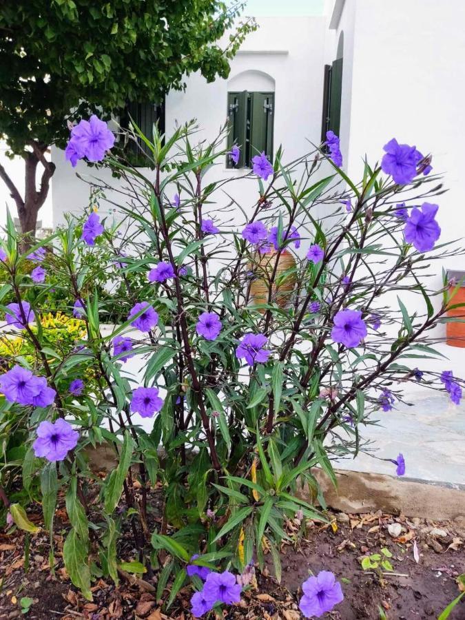 Ancient Meropia - Eden أبولونيا المظهر الخارجي الصورة
