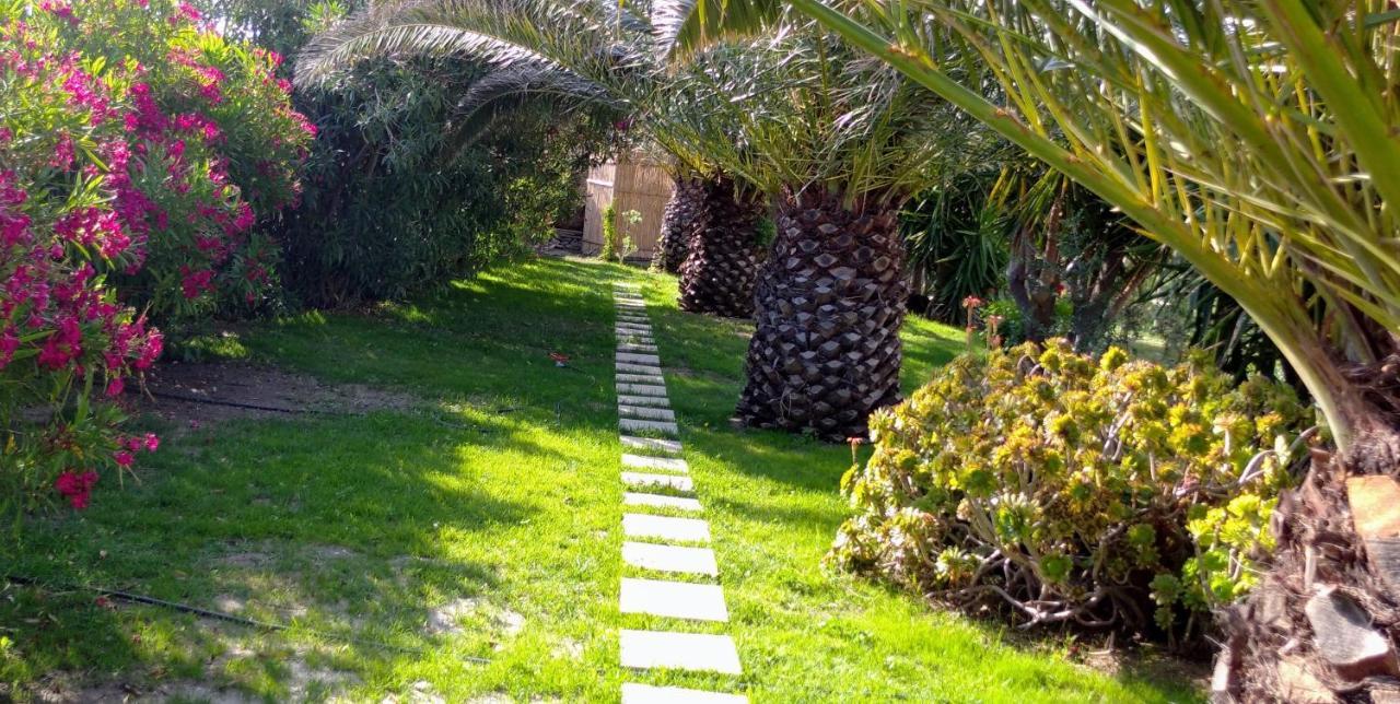 Ancient Meropia - Eden أبولونيا المظهر الخارجي الصورة